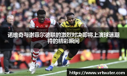 诺维奇与谢菲尔德联的激烈对决即将上演球迷期待的精彩瞬间